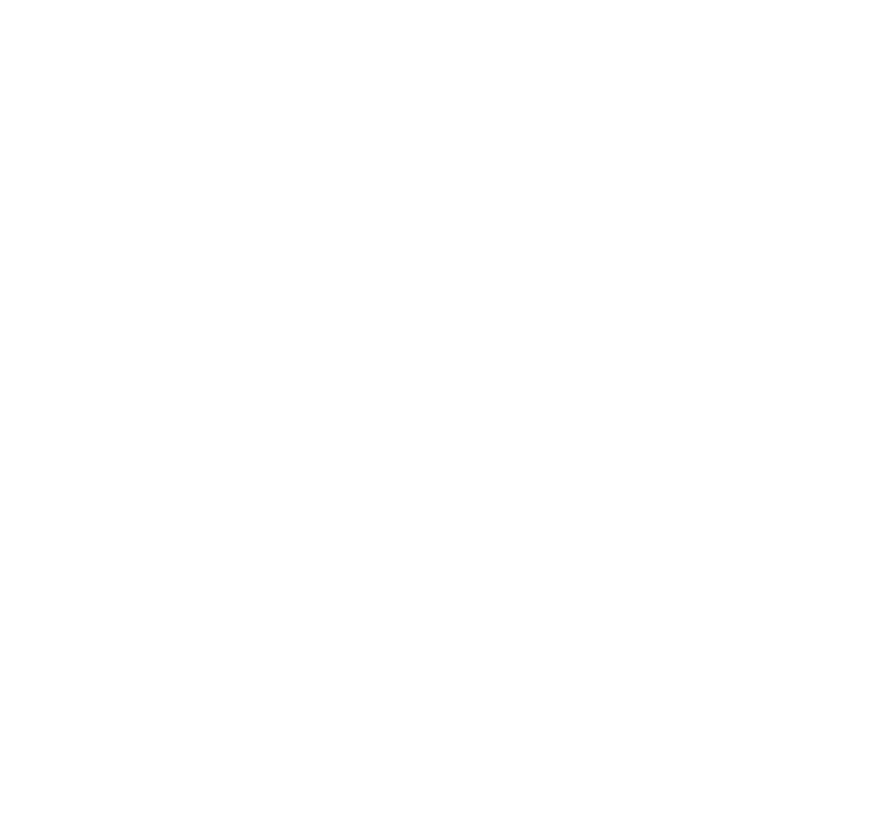Saar Zafrir logo